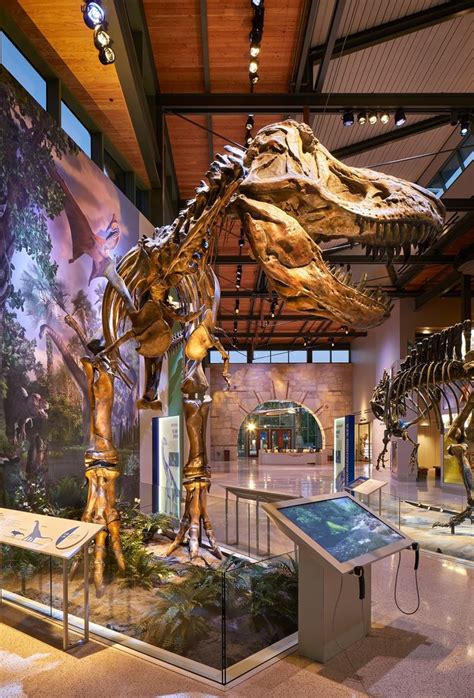 San antonio witte museum - The Witte Museum Nature, Science & Culture 3801 Broadway San Antonio, Texas 78209 Phone: 210.357.1900 Contact the Witte Museum